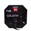 COLONY