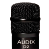 D2