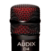 D4